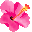 nCrXJXE_CrO][g